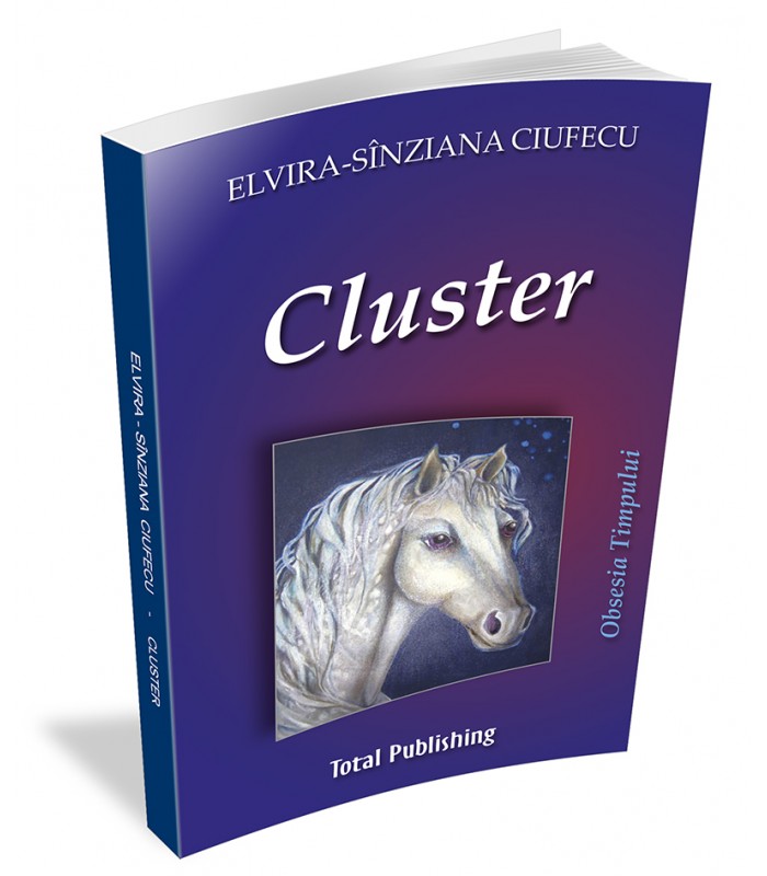 Elvira-Sînziana Ciufecu - Cluster